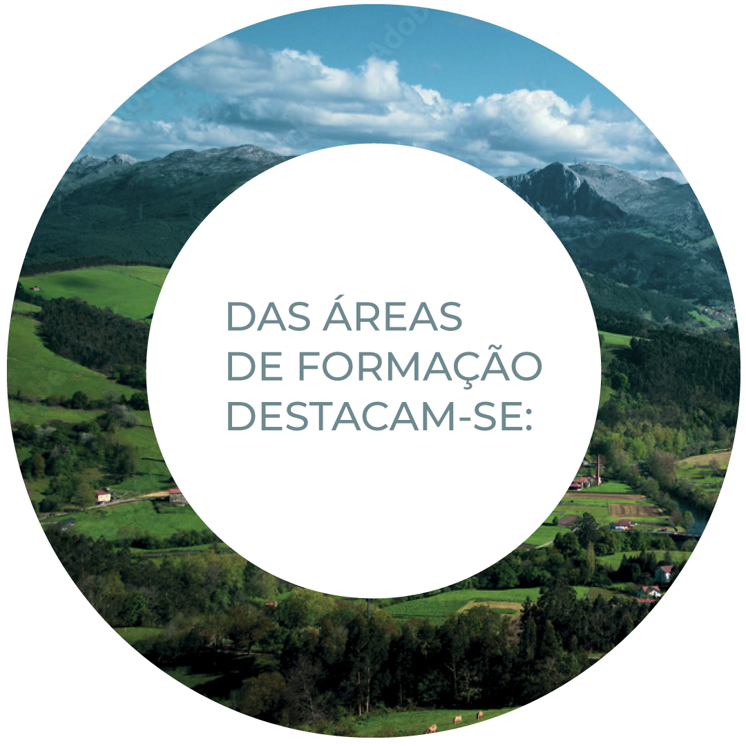 areasdeformacao-img